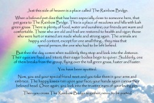 rainbow bridge poem